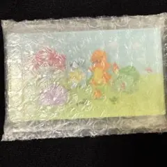ぽこあポケモン TSUTAYA購入特典 二層アクリルブロック　switch2