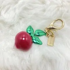 希少 COACH × Observed By Us ラディッシュ チャーム - メルカリ