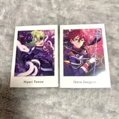 ぱしゃっつ 日和・茨