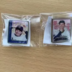 オリックスバファローズピンバッジ２つ