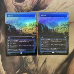 耐え抜くもの、母聖樹 2枚セット MTG - メルカリ