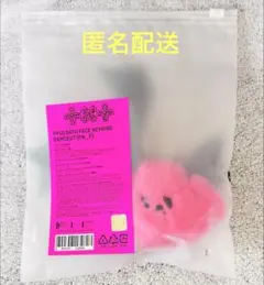 TXT ppulbatu 7TH YEAR フェイス キーリング バムグッ