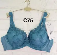 【新作】トリンプ　恋するブラ　TR623 ブラジャー　グリーン　C75