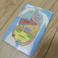 体パズル　知育玩具