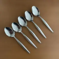 ステンレススチール製スプーン5本セット
