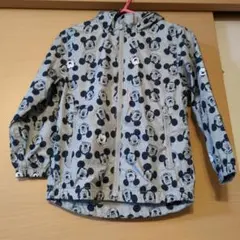 Item thumbnail for item 62182039-d2ab-4abb-b9a0-0e8dcd68b32e