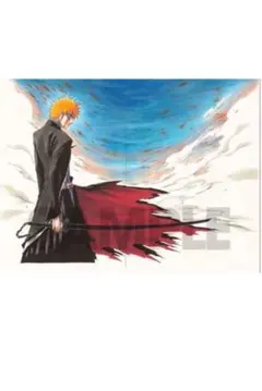 BLEACH額装高精細複製原画 No.1 BLEACH EX. 黒崎一護 BLEACH 原画展 額装高精細複製原画 黒崎一護 - メルカリ
