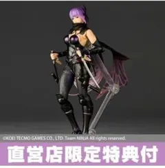 新品 未開封 リボルテック アメイジング・ヤマグチ あやね 特典付 海洋堂