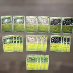 カラサリス　マユルド　ドクケイ　ミラー　進化ライン