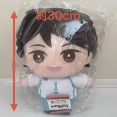 狩野英孝】EIKO!GO!! おすわりぬいぐるみ GIGOオンライン限定 - メルカリ