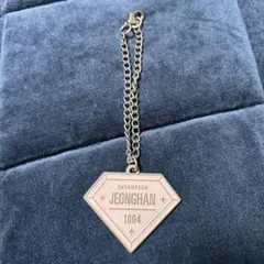 SEVENTEEN JEONGHAN キーホルダー 1004