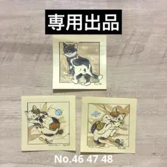 アナスタシア様　おまとめ