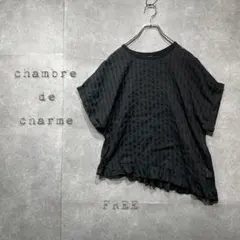 chambre de charmeアシンメトリーフリルシアーブラウス　日本製Fのサムネイル