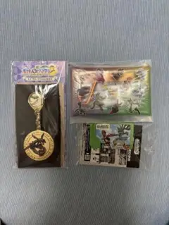 ポケモンフレンダ JR東日本 スタンプラリー 2025 マルチケース10セット JR ポケモンスタンプラリー 2025 スペシャルクリアマルチケース