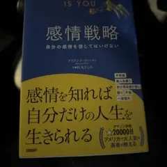 感情戦略