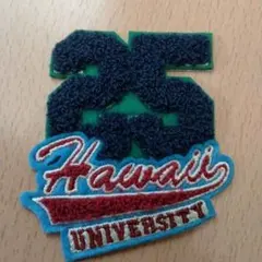ハワイ大学 ワッペン 新品未使用
