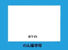 特別価格企画　牛革・馬革　A3　色々　４枚セット