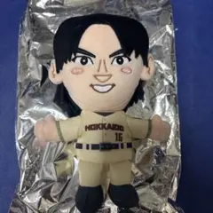 北海道日本ハムファイターズ ぬいぐるみ 達孝太 16 - メルカリ