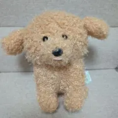 トイプードル　 ぬいぐるみ　ふわふわ