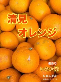 키요미 오렌지, 계절 피해, 한정 수량, 선착순, 감귤 오렌지, 특가, 4kg