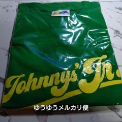 わっしょい Tシャツ グリーン