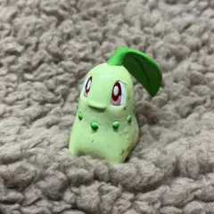 2026年最新】チコリータ モンコレの人気アイテム - メルカリ