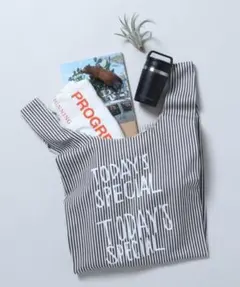 【未使用】Today'sSpecialマルシェバッグ_ヒッコリー