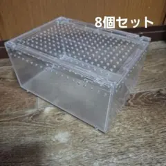 Takumaさま専用レプタイルボックス 35cm x 60cm x 15cm - メルカリ
