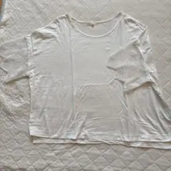 studio CLIP袖レースTシャツ　Ｌのサムネイル