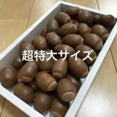 超特大サイズ　どんぐり　くぬぎ　あべまき　10個　煮沸処理済み　木の実