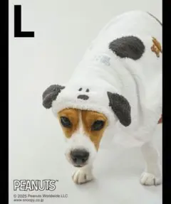 Lサイズ★新品　ジェラートピケCAT&DOGスヌーピーベビモコケープ