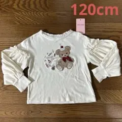メゾピアノ　120