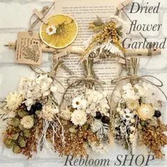 Item thumbnail for item 2565ac7e-4a11-4664-8b85-9dd6ff7cc38c