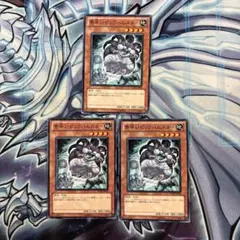 遊戯王　素早いビッグハムスター　ノーマル 3枚セット　b