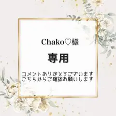 Chako♡複数購入で割引あり✧*。様　宛名シールおまとめ2点【AY34】