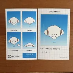 サンリオキャラクターズ　証明写真風スマロイド　NG集　こぎみゅん