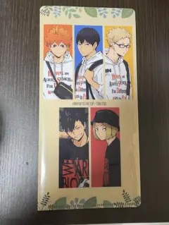 ハイキュー!!　東武動物公園コラボ　クリアファイル