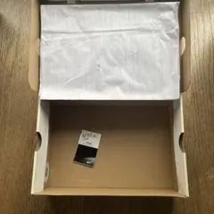 NIKE DUNK SB スニーカー 純正 空箱 28.5cm