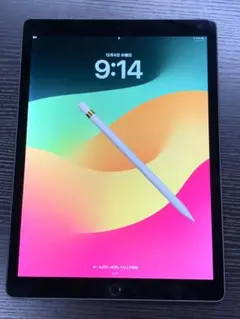 iPad Pro12.9㌅第２世代セルラーモデル