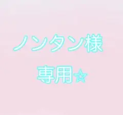 ⭐️ノンタン様リクエスト⭐️現在3点