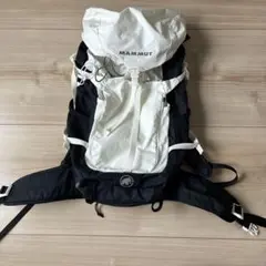 Item thumbnail for item 2e367932-46a3-4a1a-9be9-69956a9ddaf2