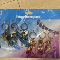 ディズニーランド　夏祭り　2015 キーホルダー　セット