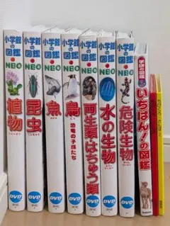 小学舘の図鑑　NEO DVDのみ❗ 新版］地球 DVDつき | 書籍 | 小学館