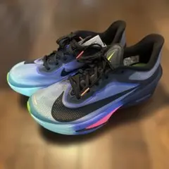 【26.0】 NIKE ZOOM FLY6 ナイキ ズームフライ6 グラム