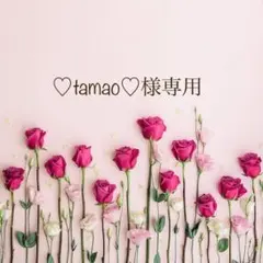 ♡tamao♡様専用ꕤ.·*.インド刺繍リボン