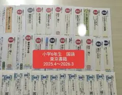 小学6年生 国語 東京書籍　カラーテスト
