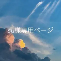 su様専用ページ