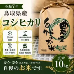 数量限定 千葉県いすみ市産 コシヒカリ 無洗米 10kg - メルカリ