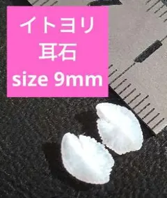 イトヨリ 耳石 お守りパワーストーン天然石宝石開運受験F32