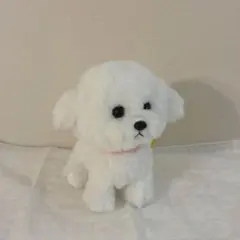 サンレモン ぬいぐるみS ビションフリーゼ